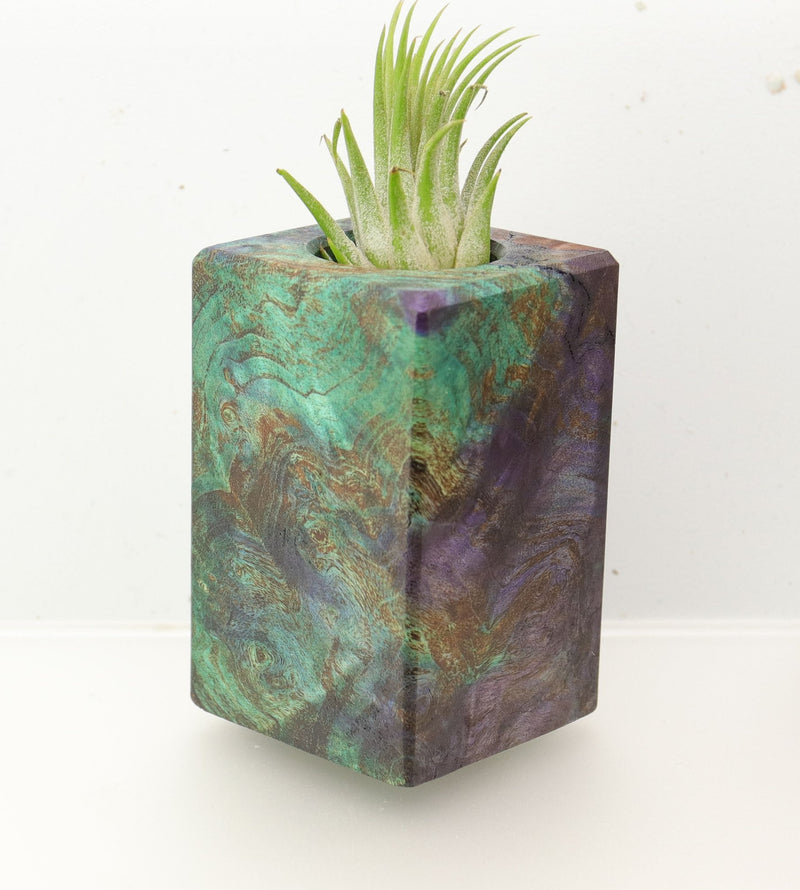 Wood Burl  Air Plant Holder - Hendrix (Wood Burl, 695957)