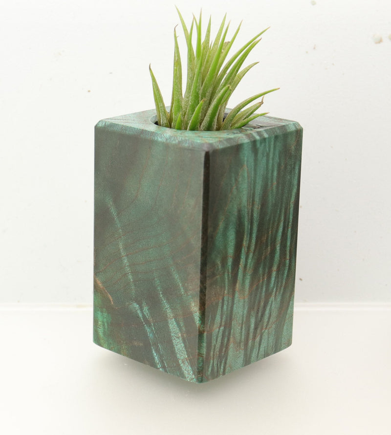 Wood Burl  Air Plant Holder - Jonathan (Wood Burl, 695959)