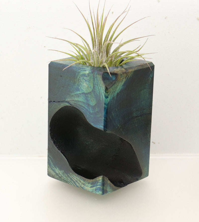 Wood Burl  Air Plant Holder - Elisa (Wood Burl, 696882)