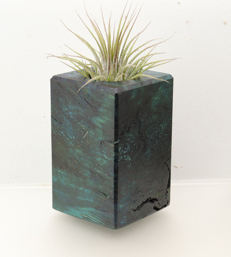 Wood Burl  Air Plant Holder - Clark (Wood Burl, 696901)