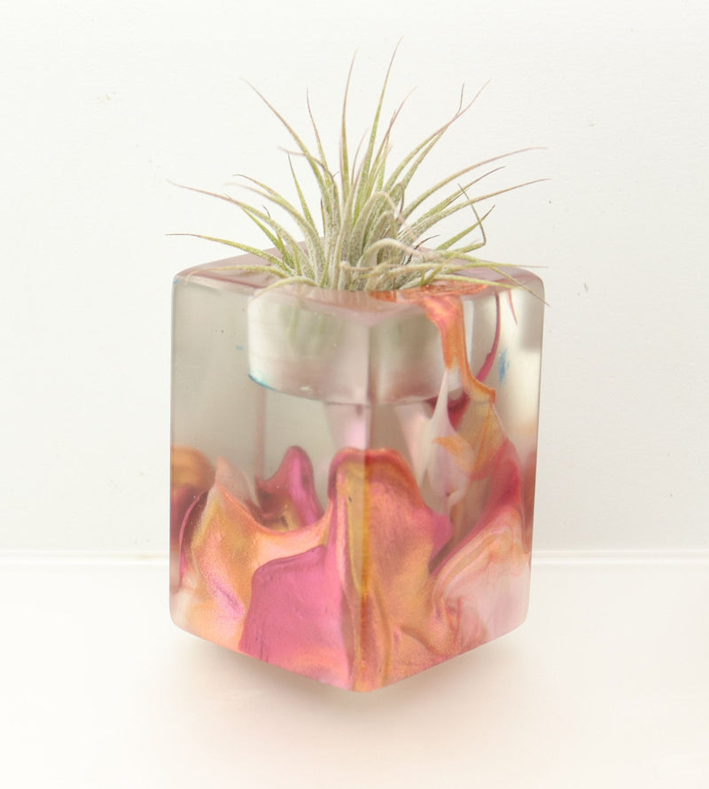 Wood Burl ResinArt Air Plant Holder - Vanessa (The Lab, 697318)
