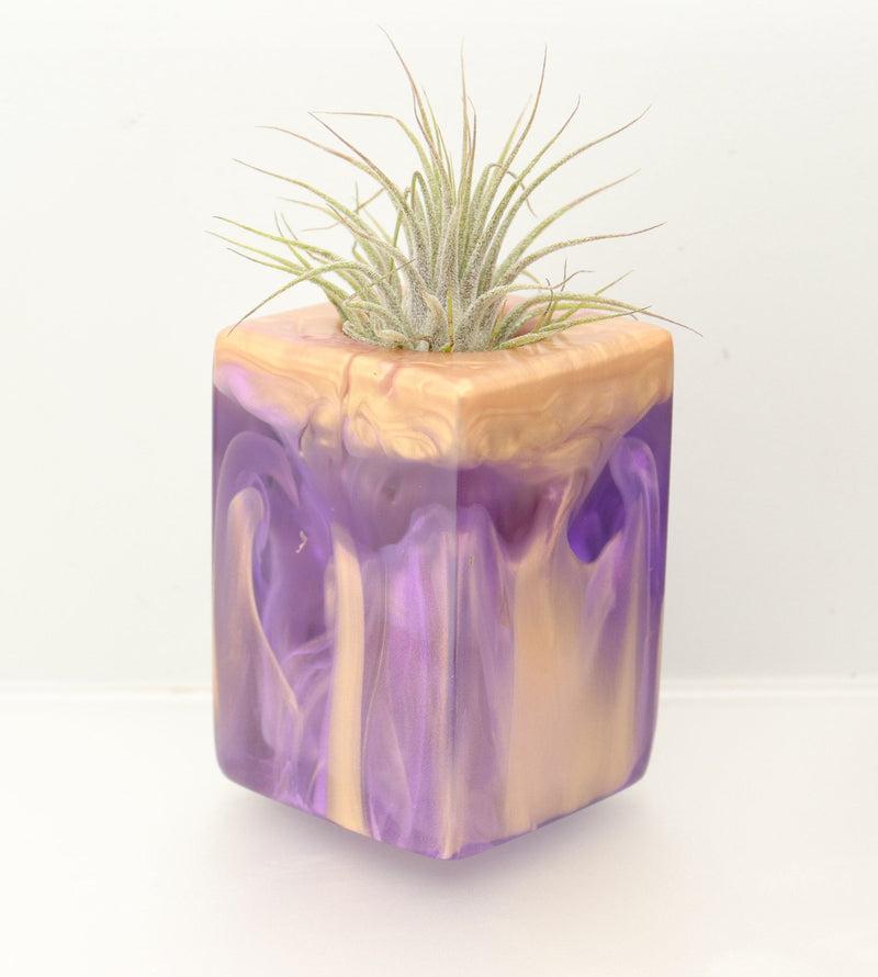 Wood Burl ResinArt Air Plant Holder - Debbie (The Lab, 697370)