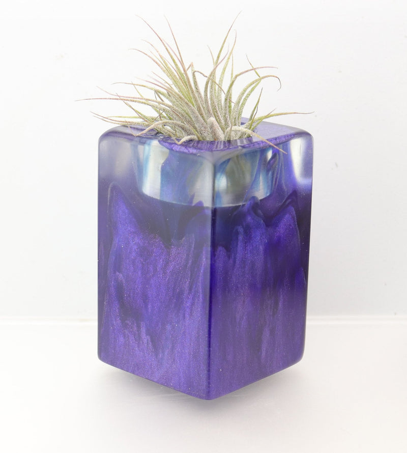 Wood Burl ResinArt Air Plant Holder - Nayeli (The Lab, 697697)
