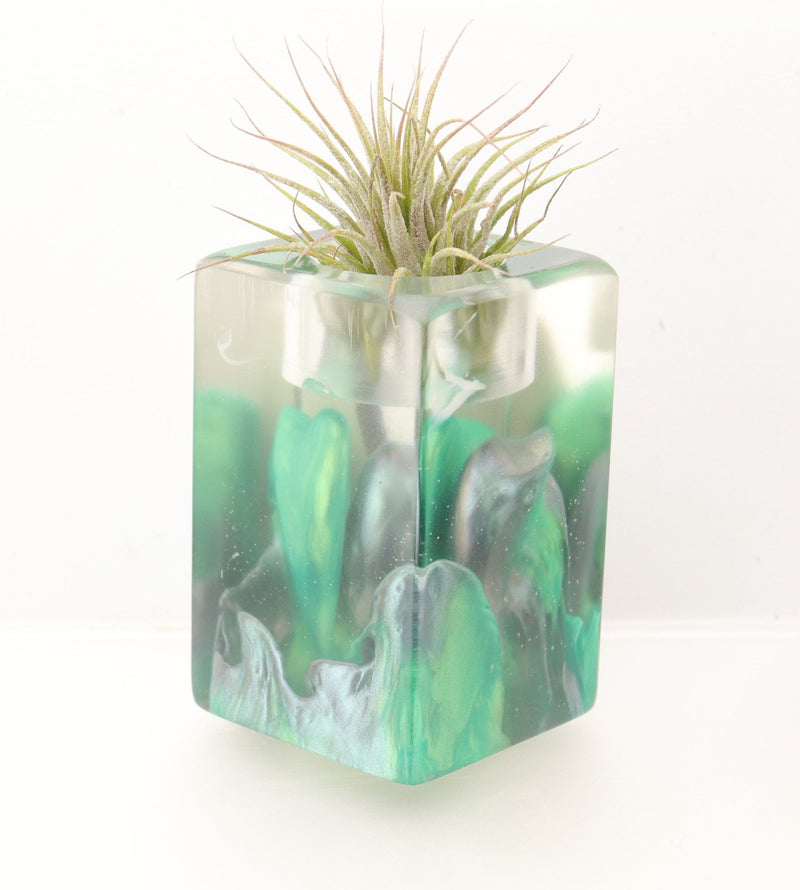 Wood Burl ResinArt Air Plant Holder - Ronan (The Lab, 697701)