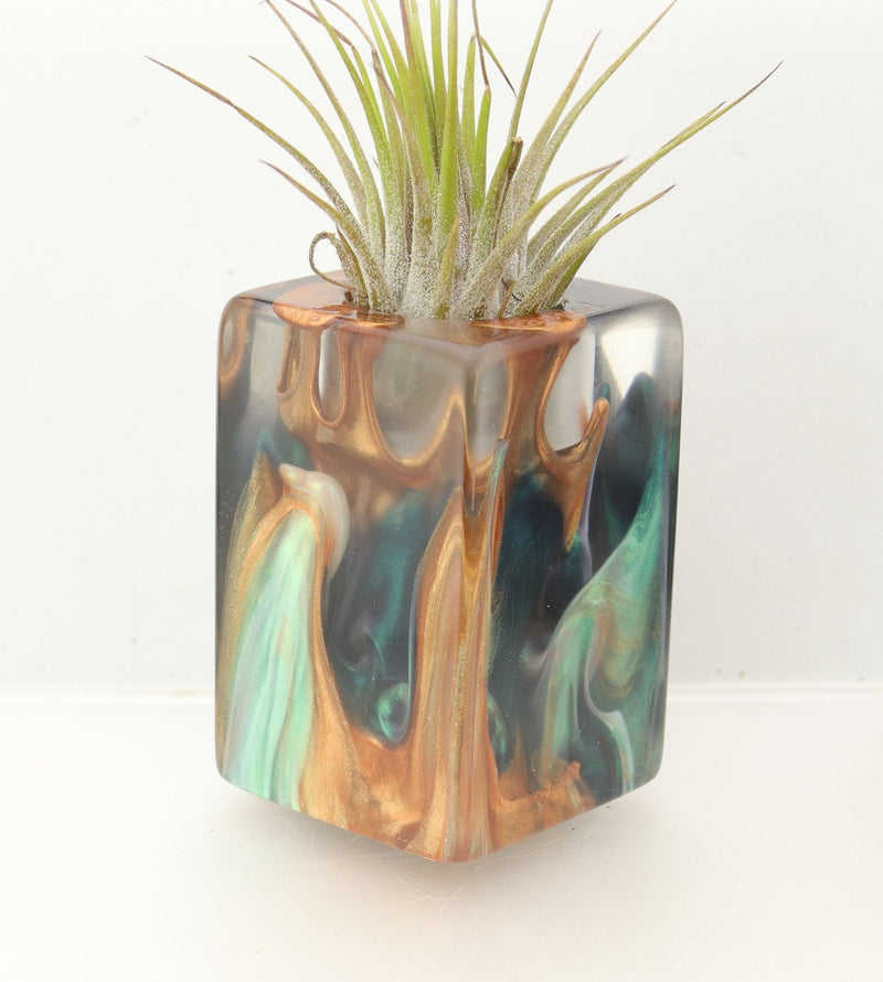 Wood Burl ResinArt Air Plant Holder - Blanche (The Lab, 698215)
