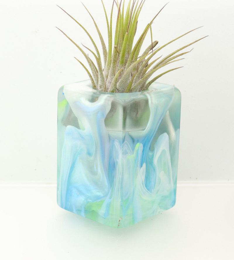 Wood Burl ResinArt Air Plant Holder - Samara (The Lab, 698216)