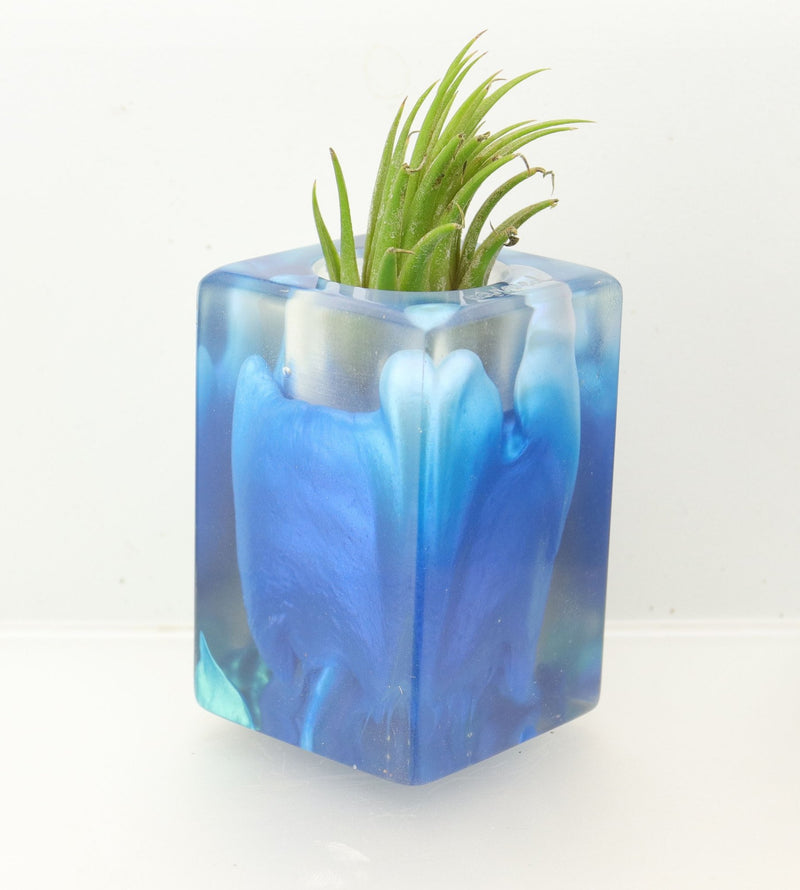 Wood Burl ResinArt Air Plant Holder - Robbie (Blue, 698236)