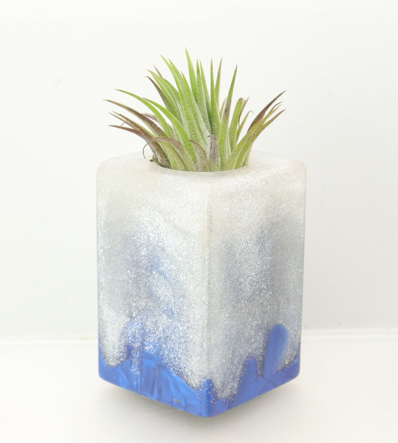 Wood Burl ResinArt Air Plant Holder - Kira (The Lab, 698551)