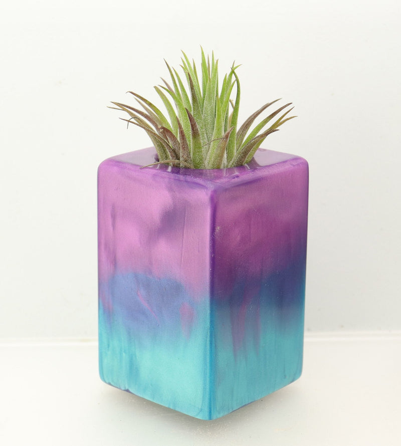 Wood Burl ResinArt Air Plant Holder - Oscar (The Lab, 698580)