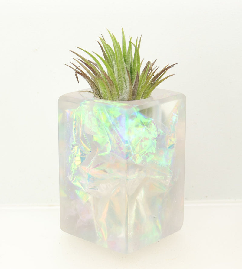 Wood Burl ResinArt Air Plant Holder - Sofia (The Lab, 698581)