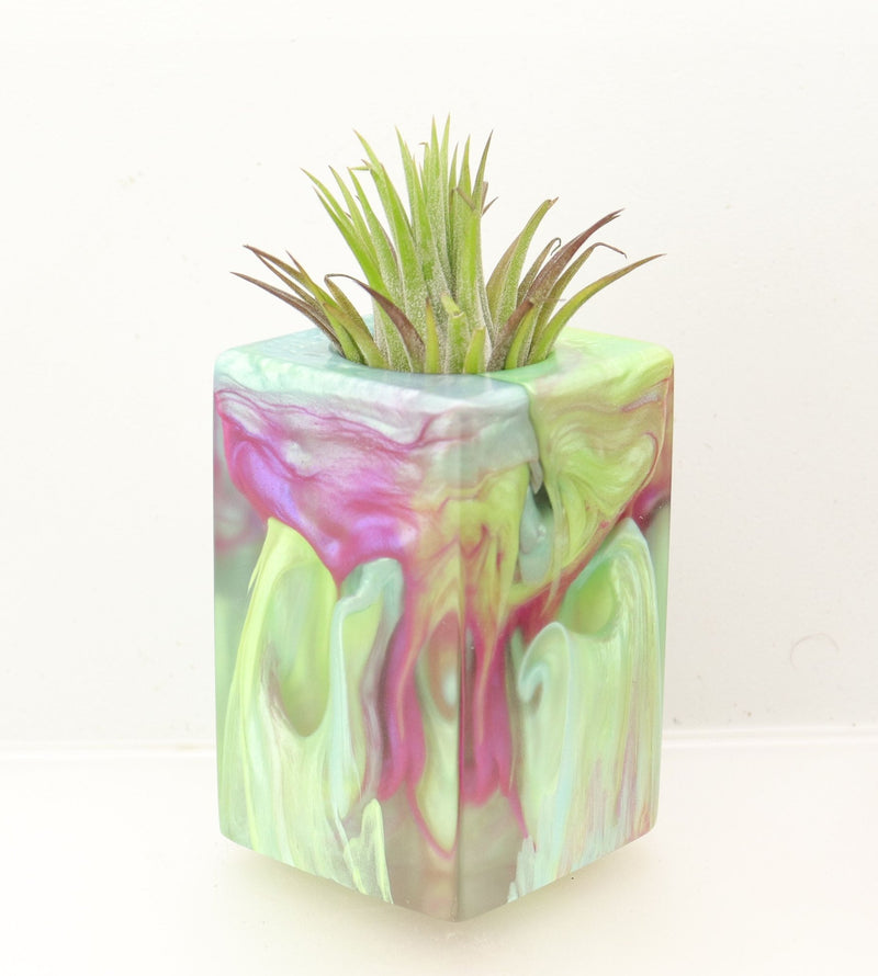 Wood Burl ResinArt Air Plant Holder - Frankie (The Lab, 698658)