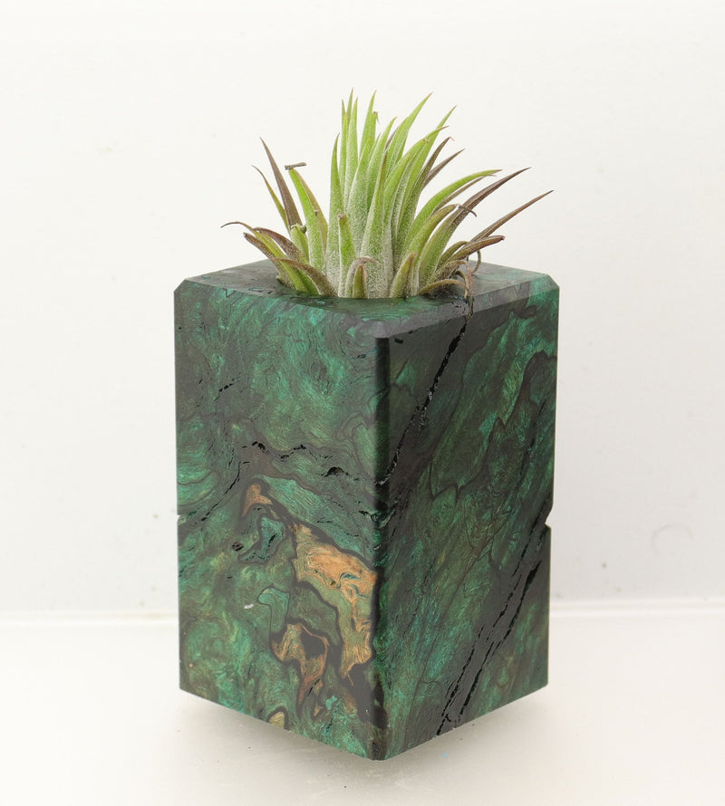 Wood Burl Wood+Resin Air Plant Holder - Doug (Wood Burl, 699633)
