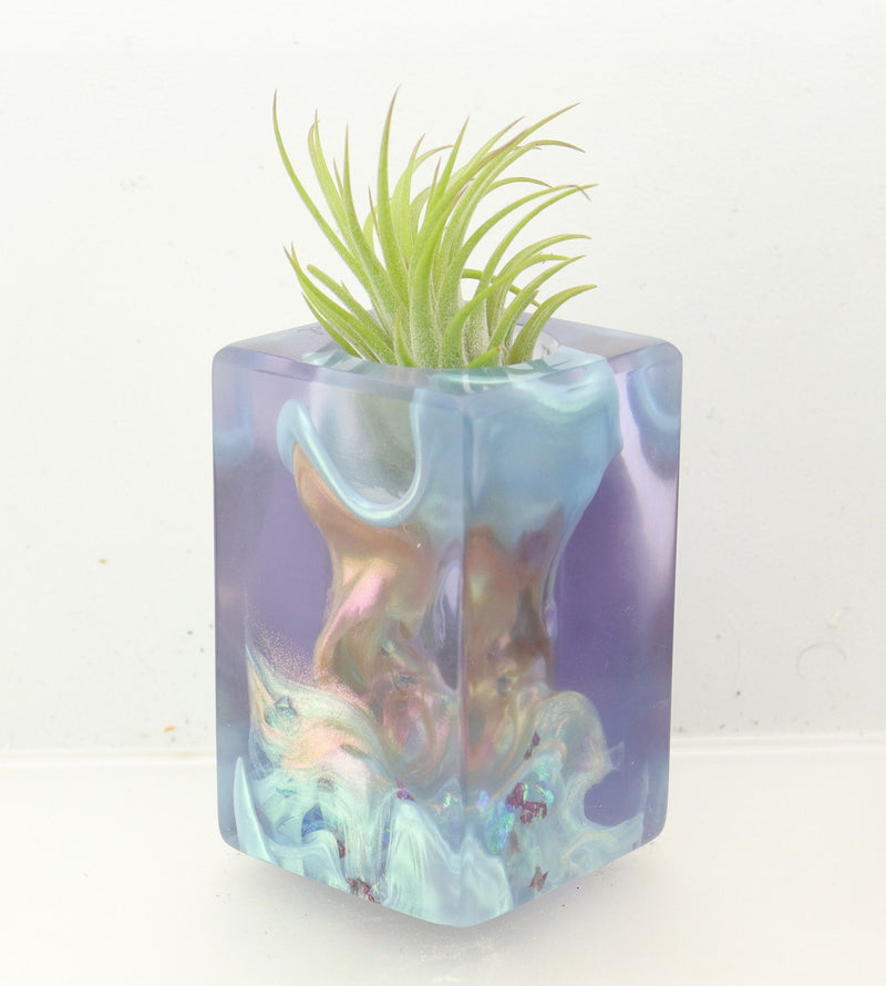 Wood Burl ResinArt Air Plant Holder - Barbara (The Lab, 700452)