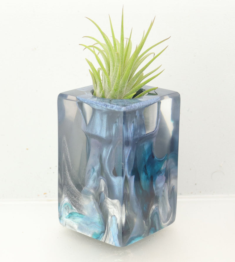 Wood Burl ResinArt Air Plant Holder - Beau (The Lab, 700453)