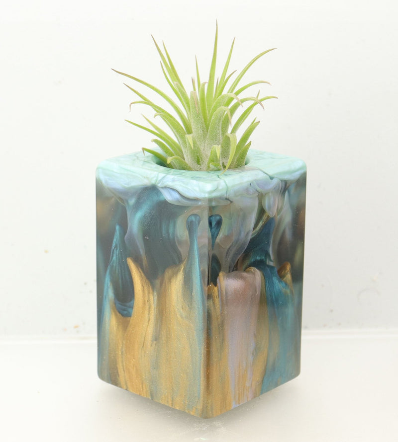 Wood Burl ResinArt Air Plant Holder - Linda (The Lab, 700454)