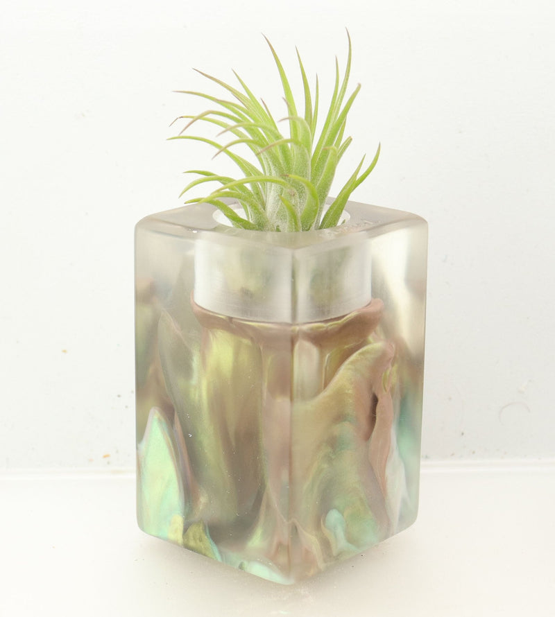 Wood Burl ResinArt Air Plant Holder - Dorothea (The Lab, 700455)