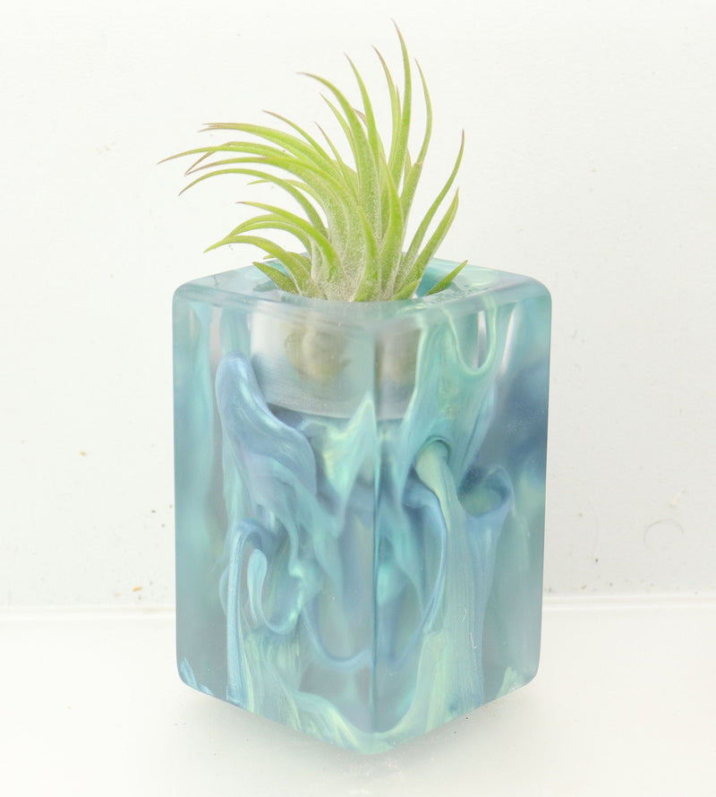 Wood Burl ResinArt Air Plant Holder - Lydia (The Lab, 700456)