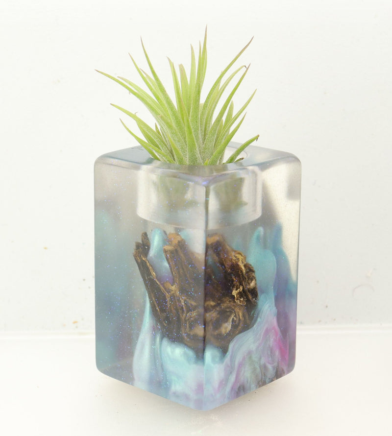 Wood Burl ResinArt Air Plant Holder - Kassidy (The Lab, 700457)