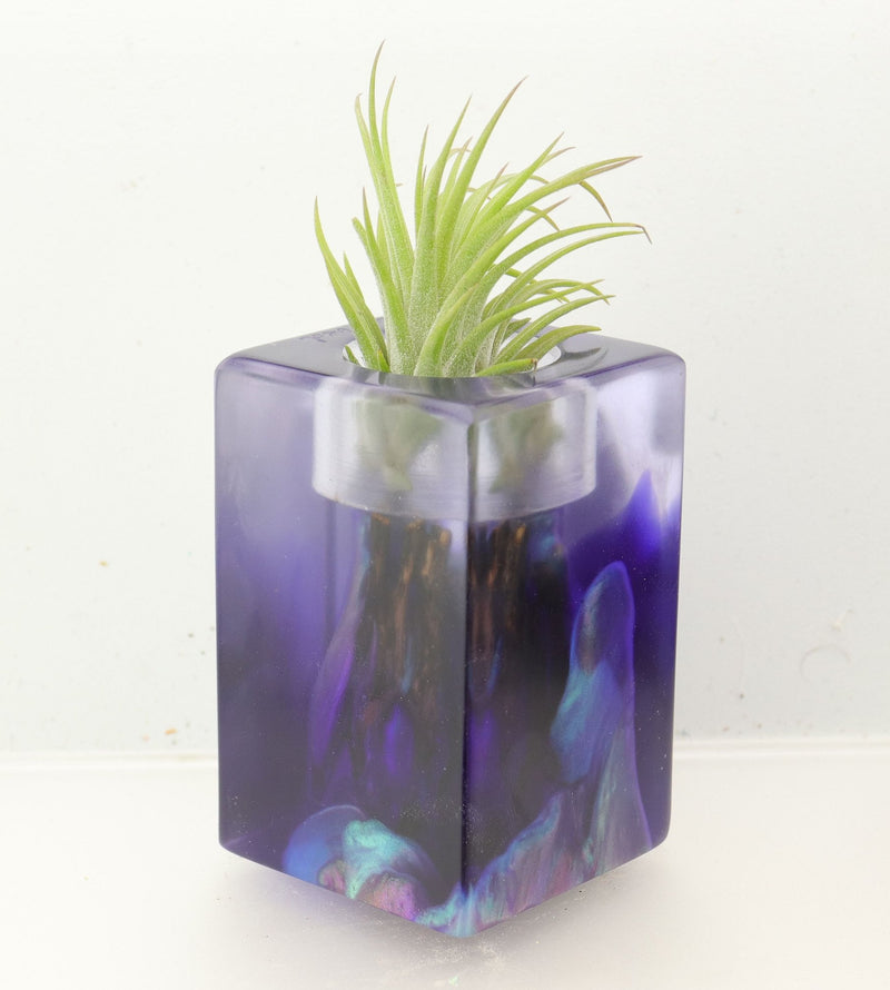 Wood Burl ResinArt Air Plant Holder - Hayes (The Lab, 700458)