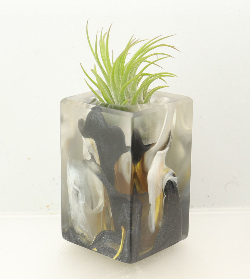 Wood Burl ResinArt Air Plant Holder - Tori (The Lab, 700459)
