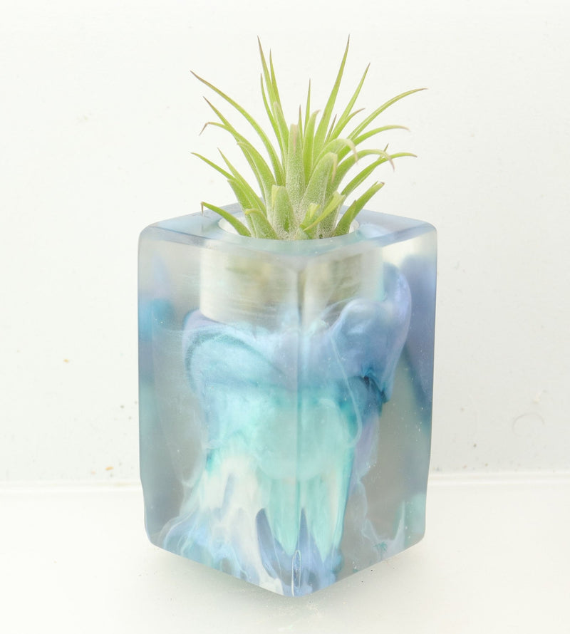 Wood Burl ResinArt Air Plant Holder - Hanna (The Lab, 700461)
