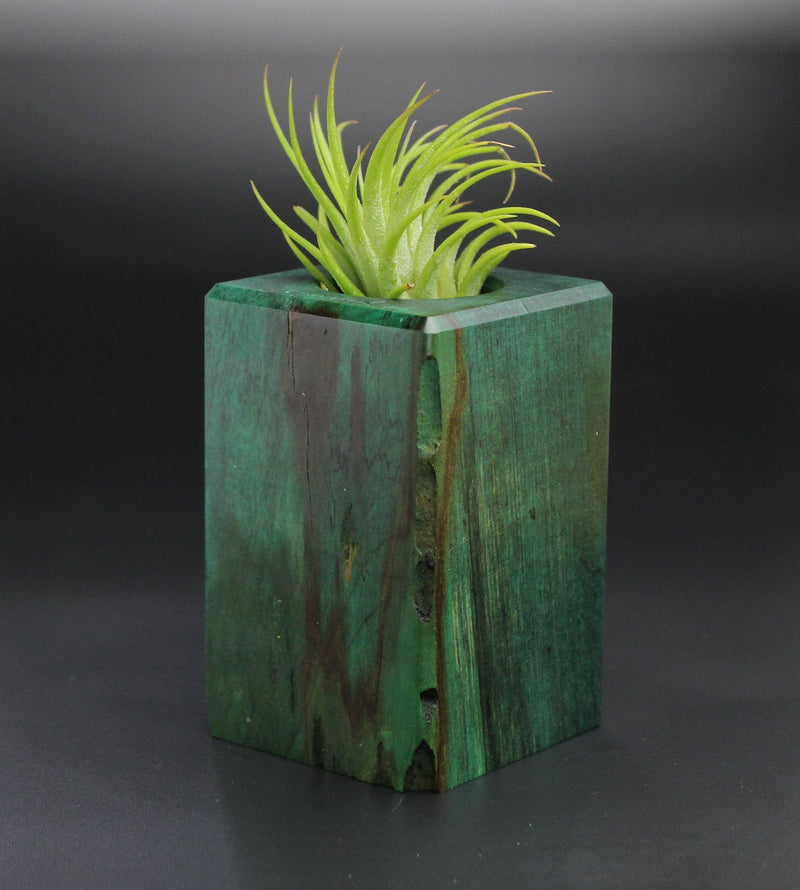 Wood Burl Wood+Resin Air Plant Holder - Lorene (Wood Burl, 701229)