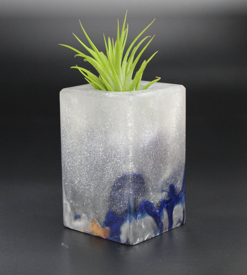 Wood Burl Wood+Resin Air Plant Holder - Josue (The Lab, 701237)