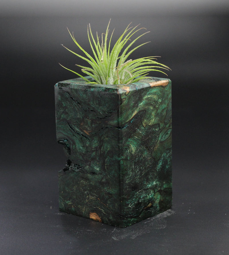 Wood Burl Wood+Resin Air Plant Holder - Brenda (Wood Burl, 701248)