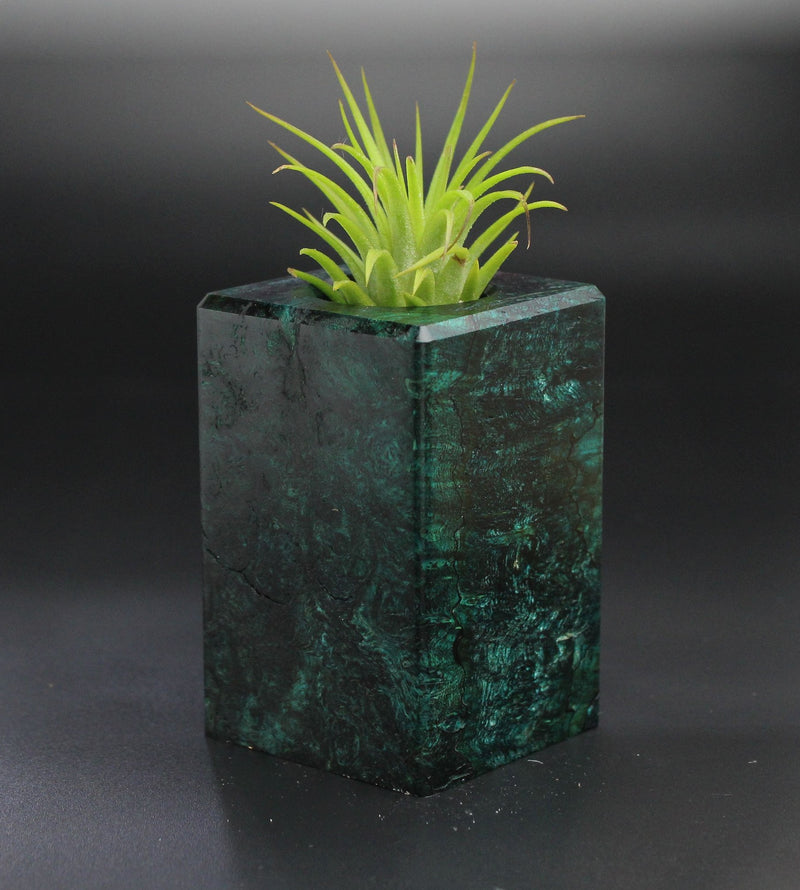Wood Burl  Air Plant Holder - Gabrielle (Wood Burl, 701295)