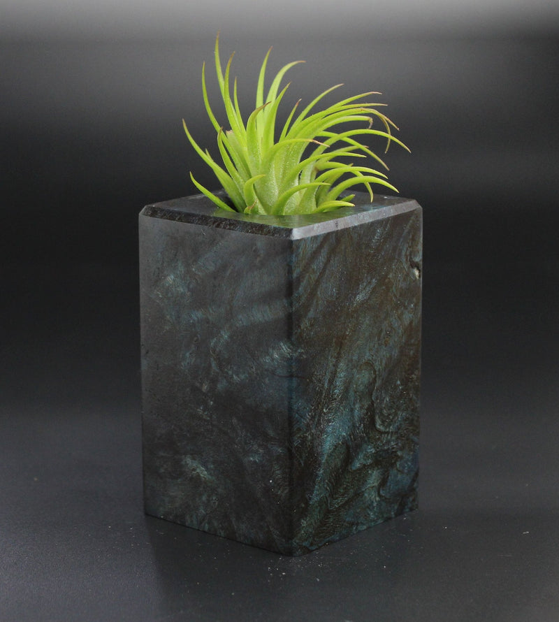 Wood Burl  Air Plant Holder - Rickie (Wood Burl, 701299)
