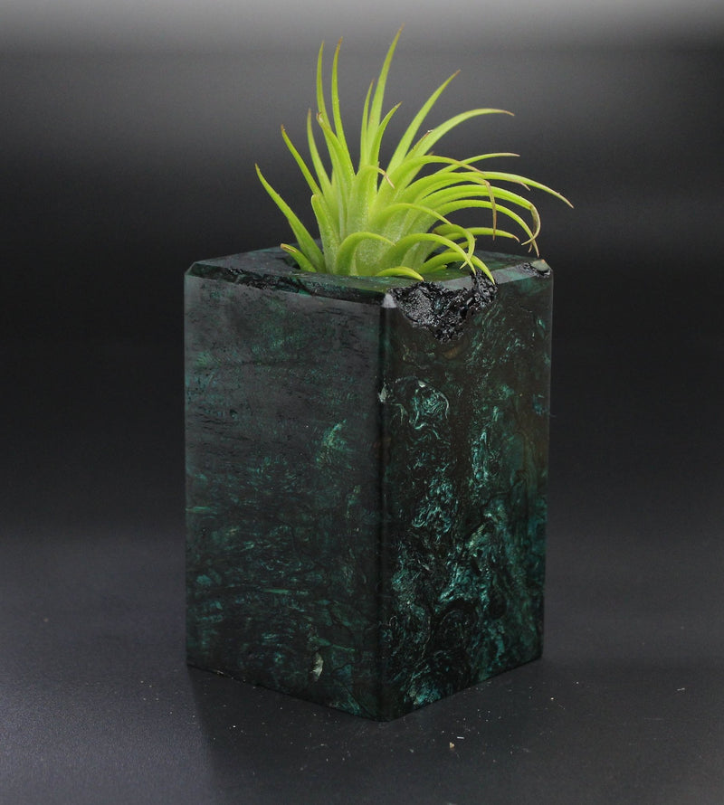 Wood Burl  Air Plant Holder - Johnny (Wood Burl, 701305)