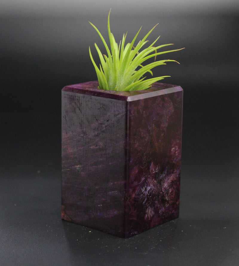 Wood Burl  Air Plant Holder - Terrance (Wood Burl, 701306)