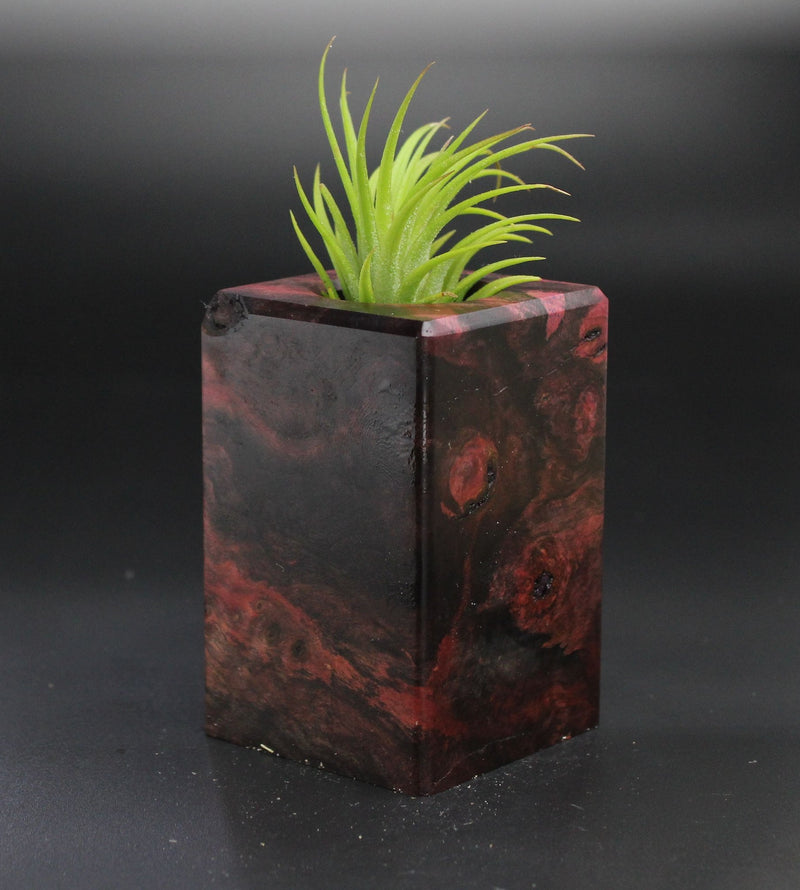 Wood Burl  Air Plant Holder - Rose (Wood Burl, 701318)