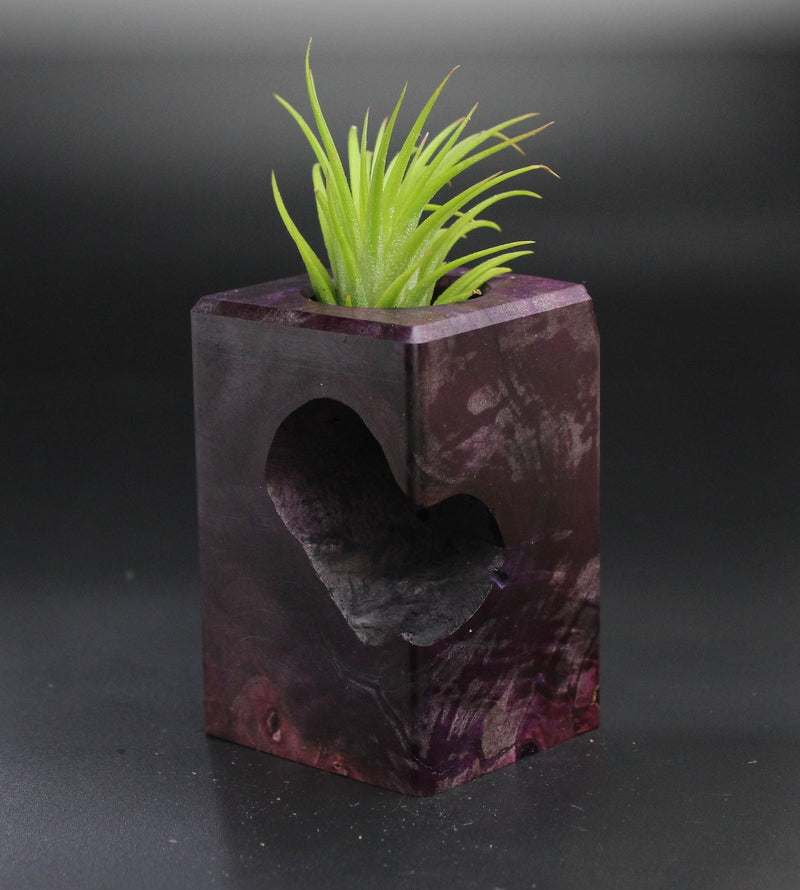 Wood Burl  Air Plant Holder - Theresa (Wood Burl, 701319)