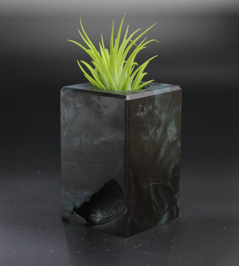 Wood Burl  Air Plant Holder - Sadie (Wood Burl, 701320)
