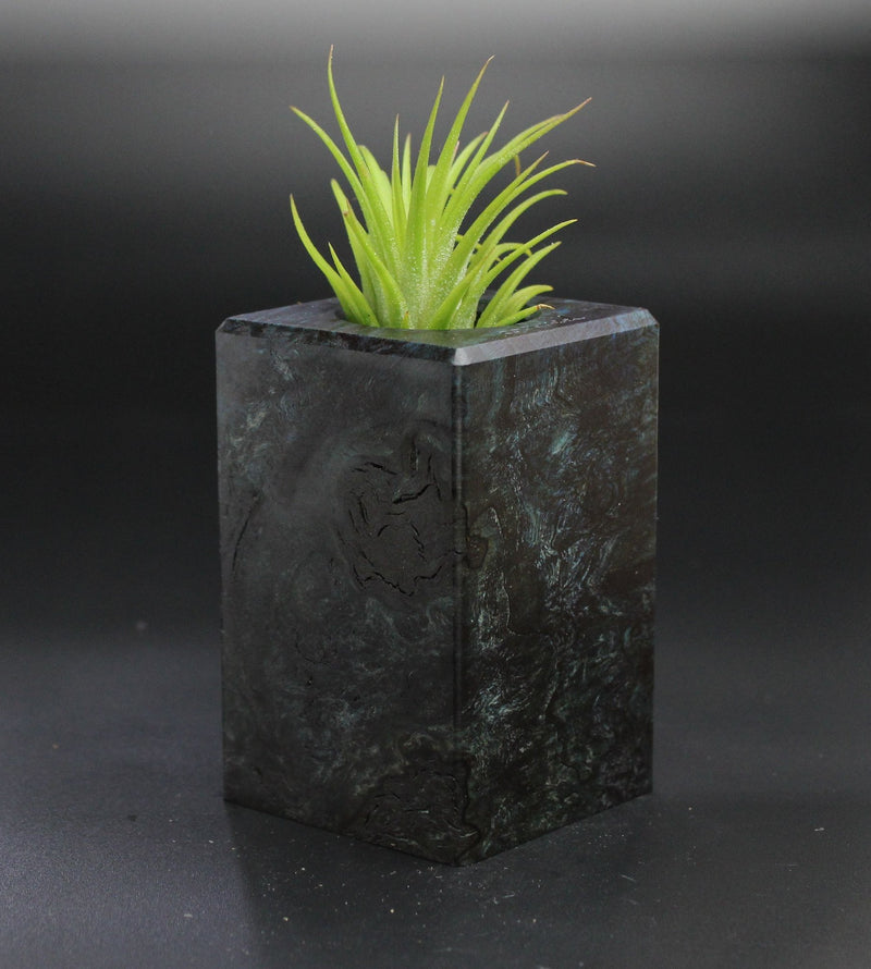 Wood Burl  Air Plant Holder - Roger (Wood Burl, 701321)