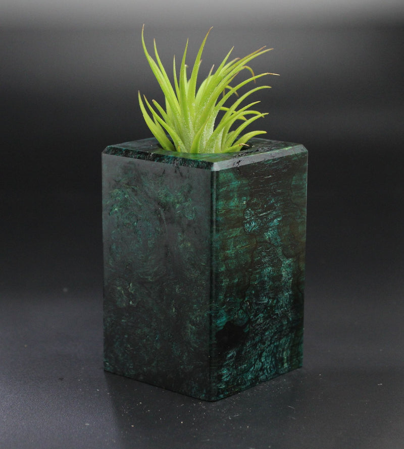 Wood Burl  Air Plant Holder - Rose (Wood Burl, 701322)