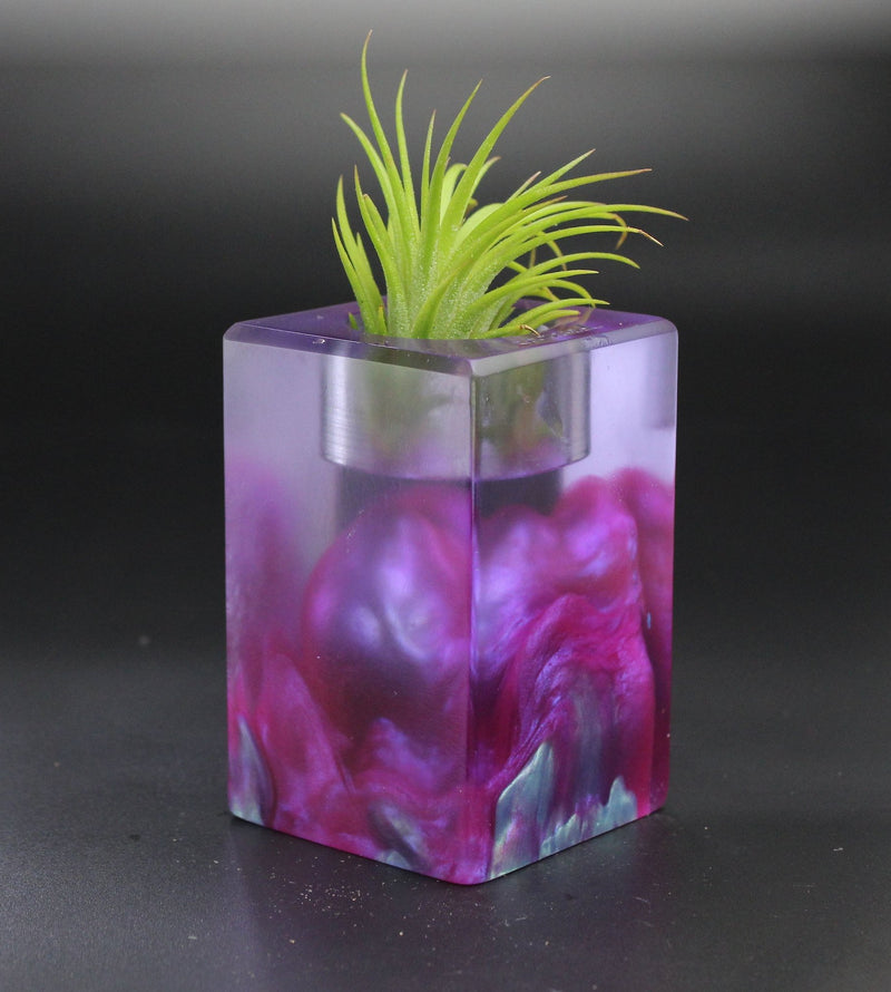 Wood Burl ResinArt Air Plant Holder - Kaylani (The Lab, 701326)