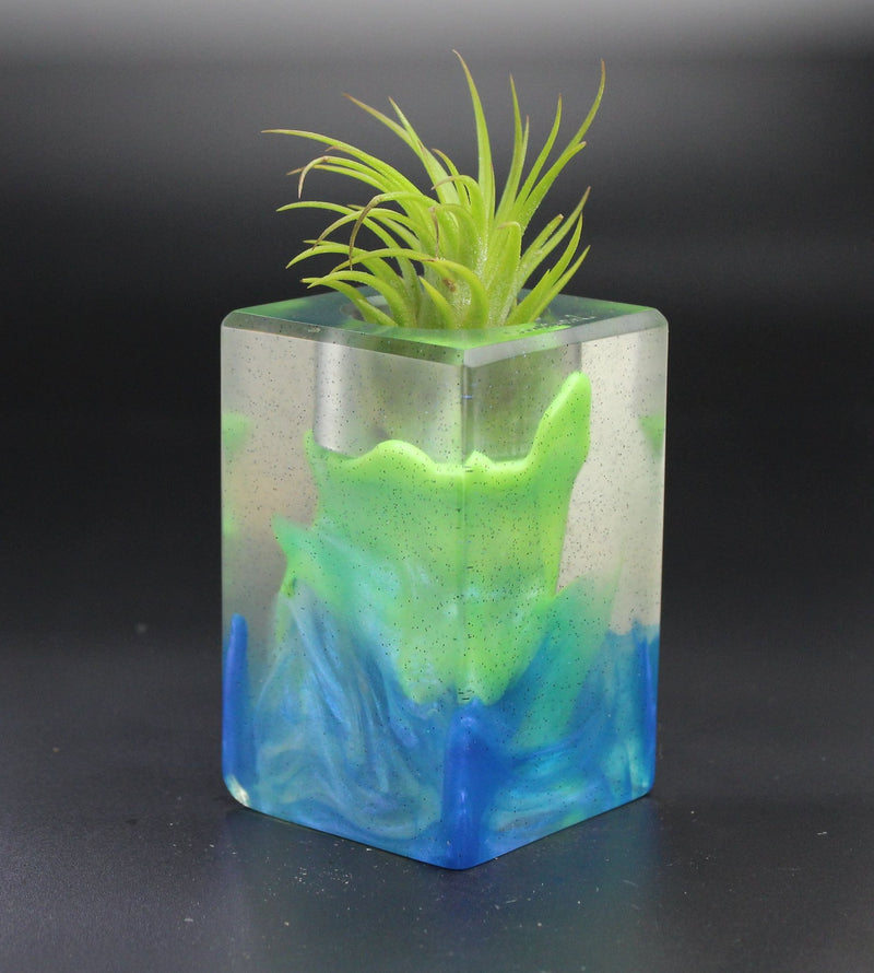 Wood Burl ResinArt Air Plant Holder - Becky (The Lab, 701327)