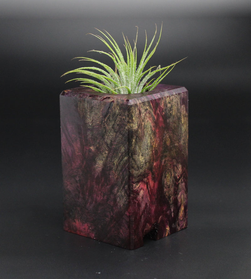 Wood Burl  Air Plant Holder - Essie (Wood Burl, 701358)