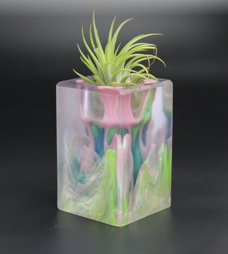 Wood Burl ResinArt Air Plant Holder - Horace (The Lab, 701365)