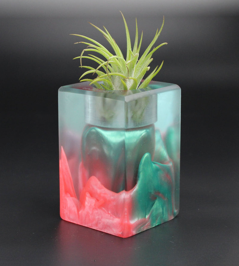 Wood Burl ResinArt Air Plant Holder - Christie (The Lab, 701366)