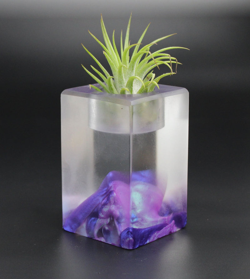 Wood Burl ResinArt Air Plant Holder - Remy (The Lab, 701367)