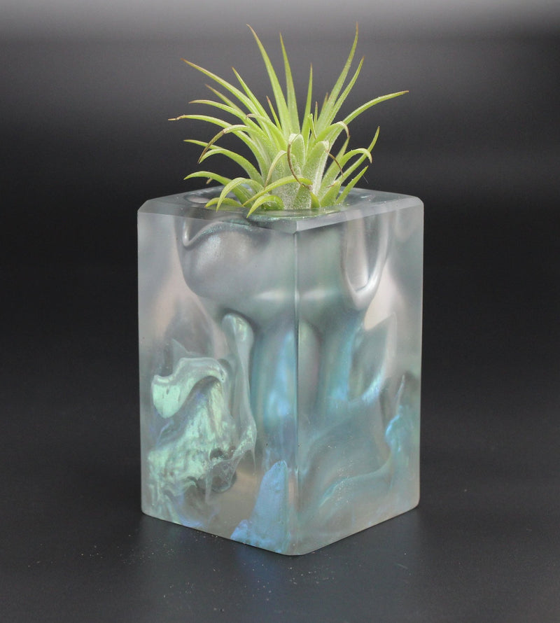 Wood Burl ResinArt Air Plant Holder - Aspen (The Lab, 701368)