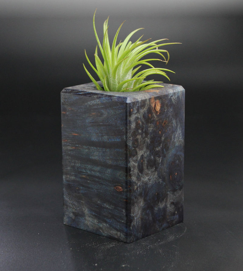 Wood Burl  Air Plant Holder - Wade (Wood Burl, 701468)