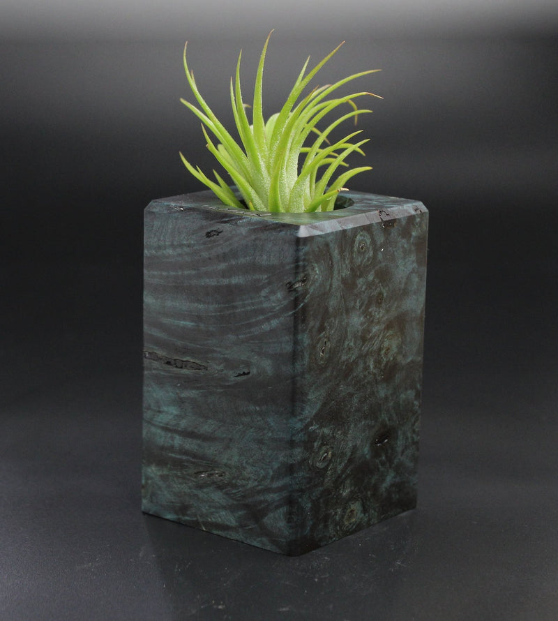 Wood Burl  Air Plant Holder - Kehlani (Wood Burl, 701487)