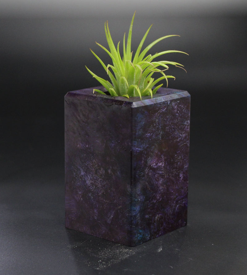 Wood Burl  Air Plant Holder - Sean (Wood Burl, 701505)