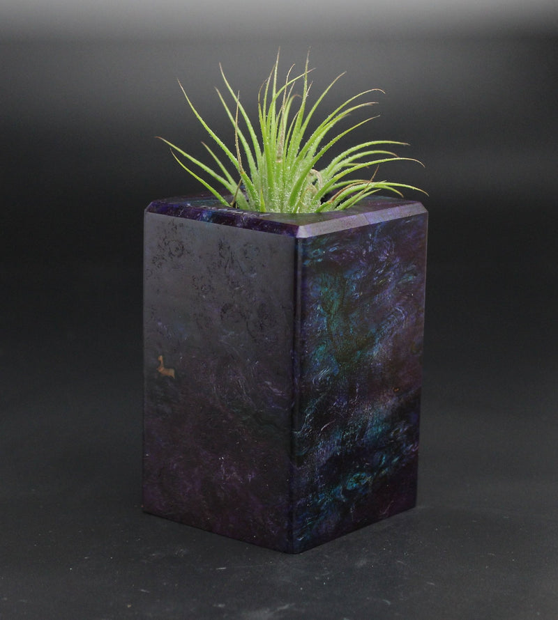 Wood Burl  Air Plant Holder - Annalise (Wood Burl, 701562)