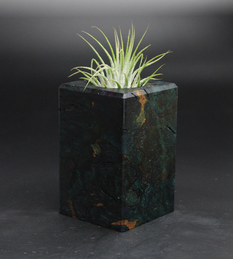 Wood Burl  Air Plant Holder - Ophelia (Wood Burl, 701607)