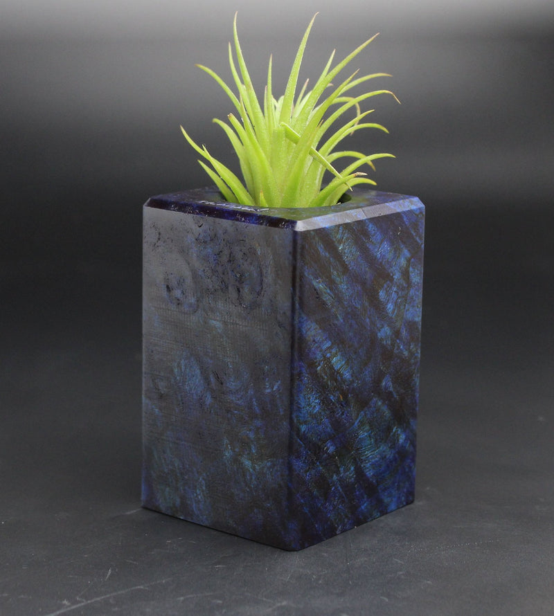 Wood Burl  Air Plant Holder - Colleen (Black & White, 701974)